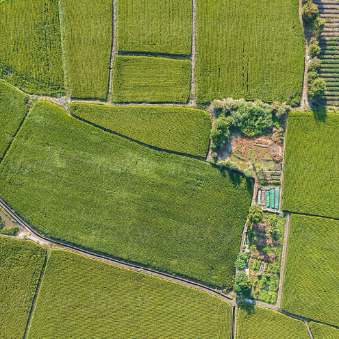 5. Strategic Land (test image)